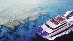 Australia Mike Ball Liveaboard Expeditions Coral Sea